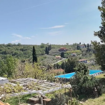 Olive Gardens Above Portoroz * Strunjan
