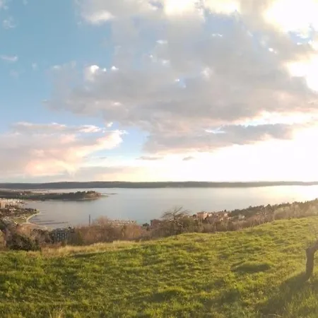 Olive Gardens Above Portoroz *