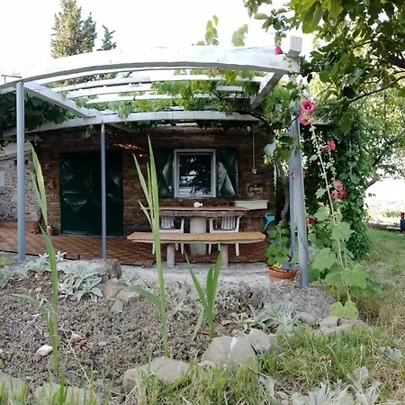 Olive Gardens Above Portoroz Dom wakacyjny Strunjan